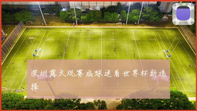 深圳露天观赛成球迷看世界杯新选择